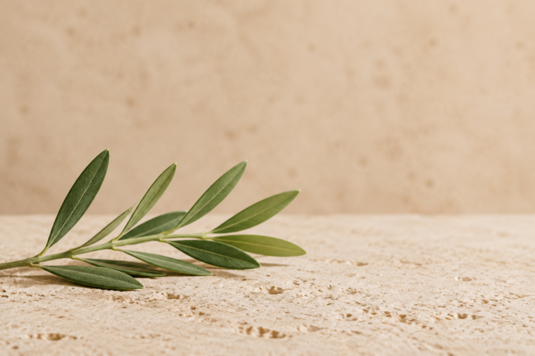Dettaglio botanico su un fondo di travertino